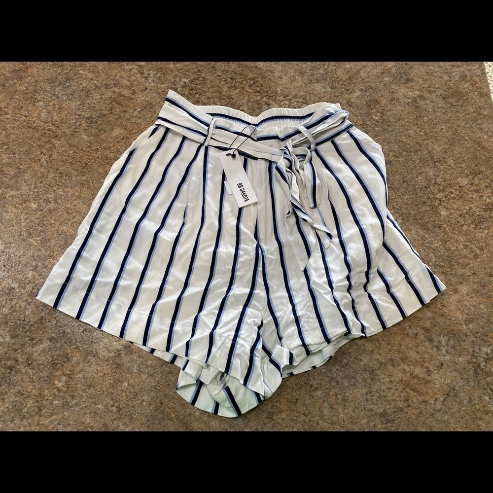 BB Dakota Stripped Shorts